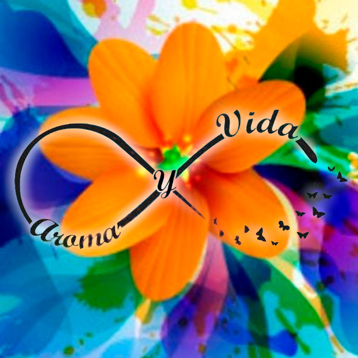 aromas-y-vida